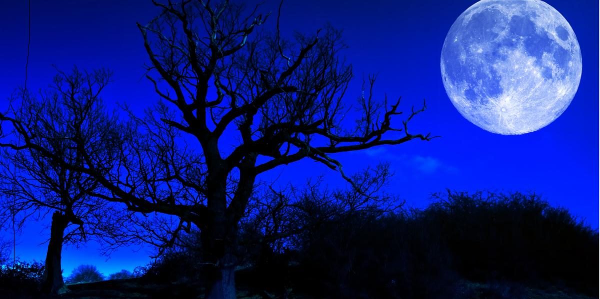 Reflections. By RevBruce.